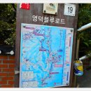 (해파랑길 3차- 22코스)＜축산항 ~ 고래불해변 16.7km＞ 걷기여행 이미지