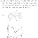 2021 PEET 생물추론 2번 : 광합성, 엽록소, 엽록체 구조. 흡수 스펙트럼 이미지