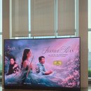 셰프콘서트셰프콘치킨 | 플루티스트 한지희 도이치 그라모폰 앨범 발매기념 연주회 다녀온 후기