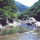 내원사계곡(내원사) 이미지