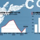 한국탄소배출권거래소 이미지