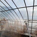 계룡 농장 | 농약살포기 충전식으로 오래오래 사용하는 계룡분무기 후기