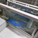 친구친구 | 왕십리 해산물 맛집 [친구친구실내포차] : 봄 활쭈꾸미 샤브샤브, 칼국수에 죽까지