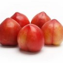 반여착한동물병원 이미지