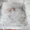 잠뱅이 | 대천항 손질 물메기 배송후기