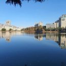 이경우치과의원 이미지