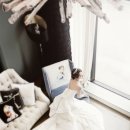 하야로비 이미지