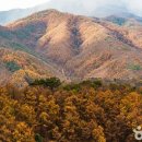 동해해상관광호텔(주) 이미지