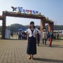 20190929_충북 청주시 "청원생명축제" 를 보고 이미지
