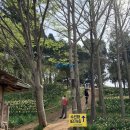 해바라기민박 | <충남 서산 여행> 수선화가 만발한 서산 유기방 가옥 ❤️ 미스터 선샤인 촬영지 다녀온 <내돈내산> 솔직후기