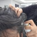 계룡로500번길 | [뷰티]✨토털 뷰티샵 &#39;인더에이블 갈마점&#39; 친절한 디자이너와 몇 년만의 염색 후기! 💇‍♀️