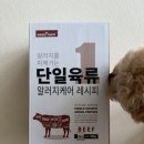 강아지 알러지 사료 추천 폴리데이 단일육류 비프레시피 먹여본 후기