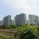 지보가스 티스토리