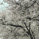 울트라크리닝 이미지