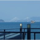 블루펜션 | 거제도애견동반펜션 비치블루애견펜션 숙박 후기, 바다 앞 감성 숙소