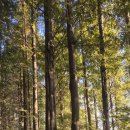 서울특별시 미디어재단 티비에스(TBS | 2025년 12월 9일, 화, &lt;김요수의 오늘 하루&gt;, 음력 10/20, 국회 광복절 전야제