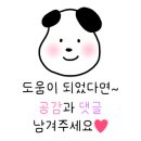 송송 스테이 이미지