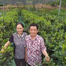 정아수퍼 이미지