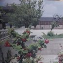 천금당구장 네이버블로그