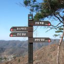 월드사우나 이미지