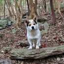 바닷가 숲속 이미지