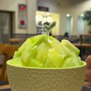 설빙명동 | [명동 설빙] <요거치즈메론몽땅설빙> 내돈내산 후기
