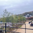 DREAM TREE OPEN 드림트리오픈 테린이 대회 첫 참가 후기, 대회 당일 준비사항 꿀팁 포함