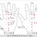 수지침 Daum카페