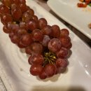 자매실비 | ​"4만원에 20가지 코스+소주2병" 삼천포 미주실비, 이모카세 끝판왕 후기!