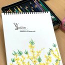 [3분기] 캘리그라피&수채 일러스트 | 봄바람이 스삭스삭 스르르 오는 3월 개나리꽃 봄 초저녁 그림 색연필화 일러스트 반입니다 🌸 🌸