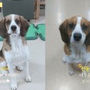 디자인해랑 이미지