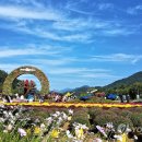 용대1리 이미지