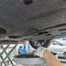 파오(PAO) 이미지