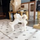 개릉도원