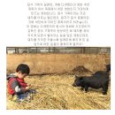 이서방 왕족발보쌈 이미지