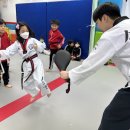 소나무향기태권도장 이미지