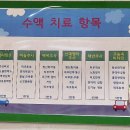 이지소아청소년과의원 네이버블로그