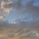 다시올민박 이미지