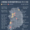 간이농장