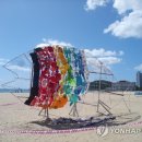 해운대물고기 이미지