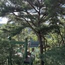 제암산자연휴양림 | 보성 제암산 자연휴양림 체험 프로그램 후기