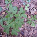 물에서산으로 이미지