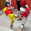 비전태권스쿨 이미지