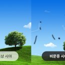 블루필드 이미지