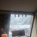 진북농업협동조합 | 진북편백골 오토캠핑장 개울3 사이트 후기[한달 장박] 첫주