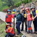 운장산 넘는길 이미지