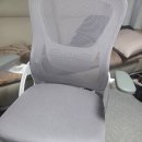 히어라이프 유한회사 | [공부의자 추천]인체공학 의자, 한국인 체형에 맞춰야 하는 이유:M7 사용 후기