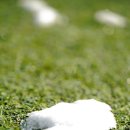 아이릭스 | 2025.01.27. 눈이 많이 내리던 휴일 (IRIX 150mm T3 Macro 1:1 Cine Lens)