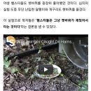 조은소식