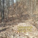 RED공인중개사사무소 이미지